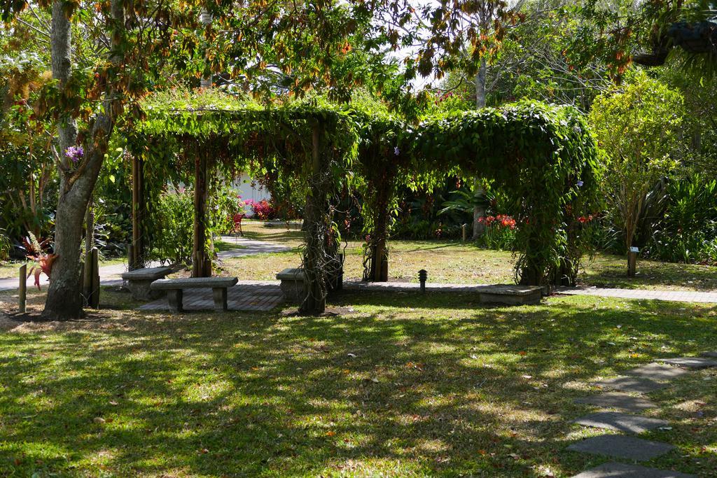 Hotel Bougainvillea San Jose Santo Domingo De Heredia Экстерьер фото