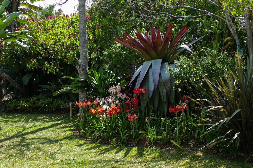 Hotel Bougainvillea San Jose Santo Domingo De Heredia Экстерьер фото